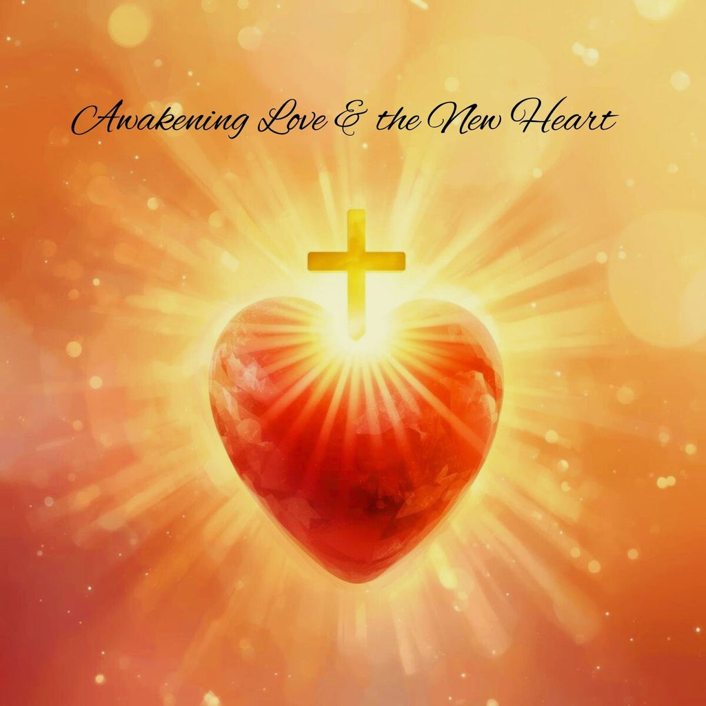 Awakening Love and the New Heart Mini Retreat Tour Hoodie
